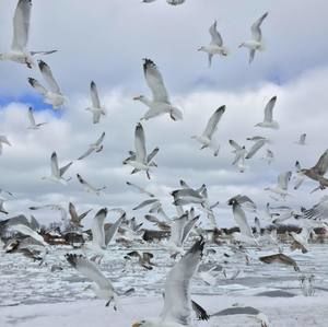 Meet your Posher, Aubrey